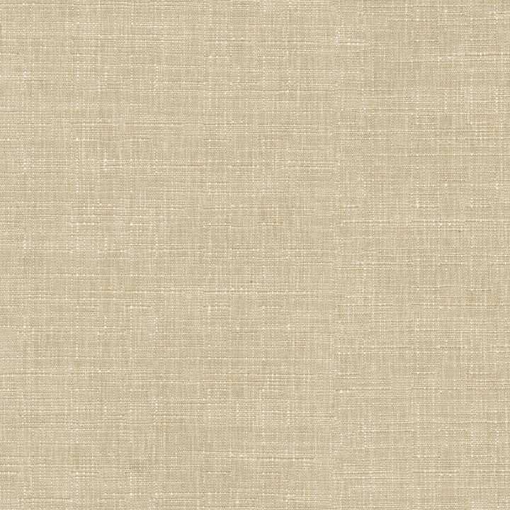 Avalon Oat 412859 by PKL Studio Designer Fabric 74% cotton, 26% polyester India 51000 Horizontal: 0 and Vertical: 0 54 - Swanky Fabrics -