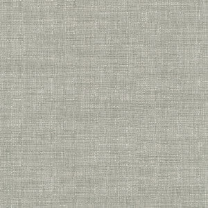 Avalon Sterling 412862 by PKL Studio Designer Fabric