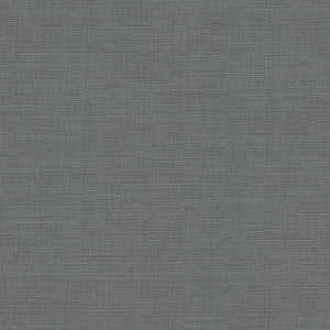 Avalon Steel 412863 by PKL Studio Designer Fabric