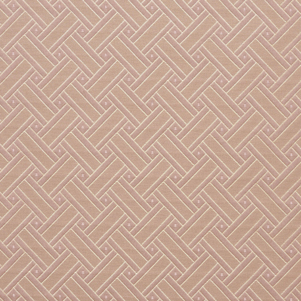 4130 Primrose Lattice by Charlotte Designer Fabric Timeless Treasures II 100% Woven Polyester Asia Exceeds 100,000 Wyzenbeek Rubs (Heavy Duty) Horizontal: 2" x Vertical: 2" 54 Inches - Swanky Fabrics -