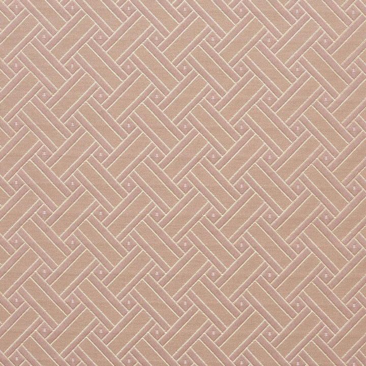 4130 Primrose Lattice by Charlotte Designer Fabric Timeless Treasures II 100% Woven Polyester Asia Exceeds 100,000 Wyzenbeek Rubs (Heavy Duty) Horizontal: 2" x Vertical: 2" 54 Inches - Swanky Fabrics -
