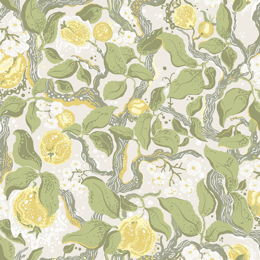 Kort Yellow Fruit and Floral Wallpaper by A-Street Prints Designer