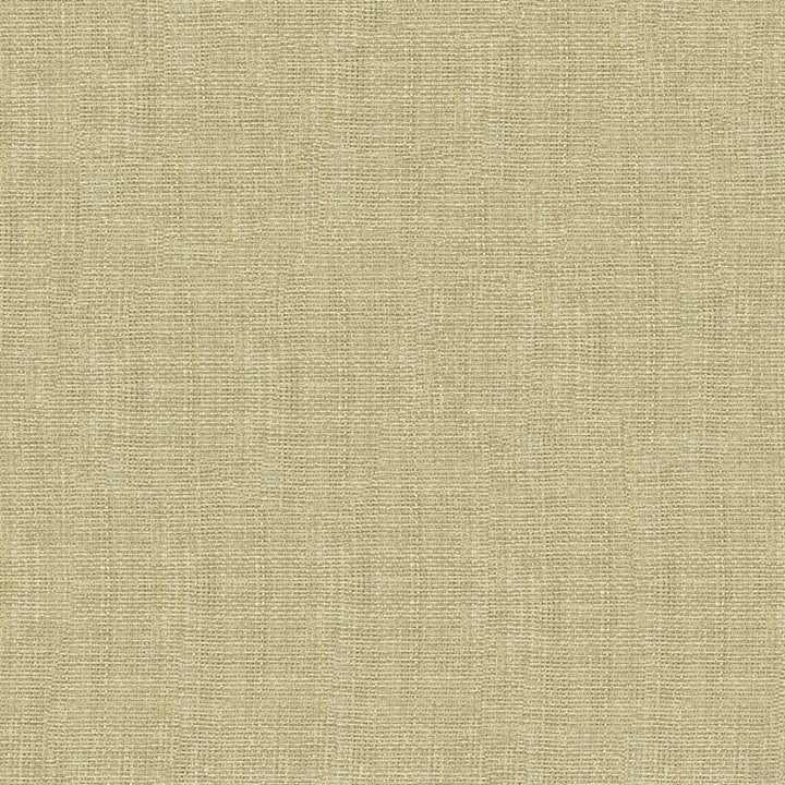 4161.1116 by Kravet Contract Designer Fabric our website for purchase Polyester 100% Turkey see sample Horizontal: see sample and Vertical: see sample 118 inches - Swanky Fabrics -