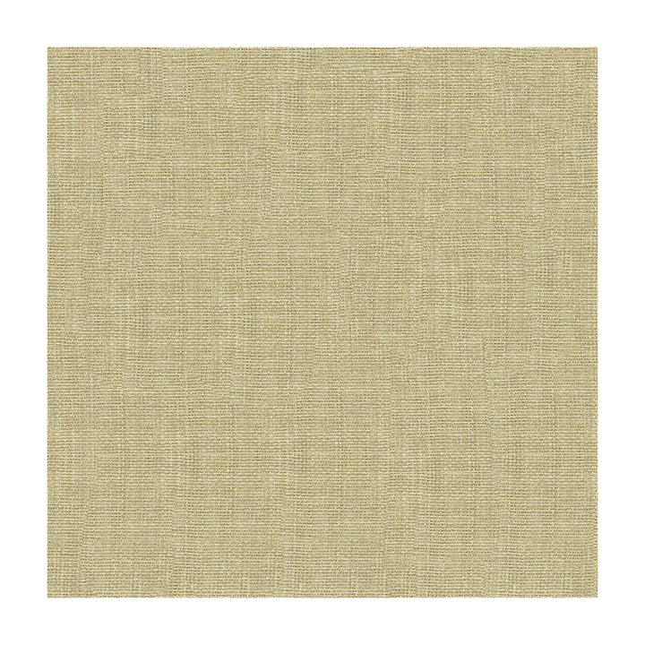 4161-1116 by Kravet Contract Designer Fabric POLYESTER - 100% Turkey Horizontal: and Vertical: 118 - Swanky Fabrics -