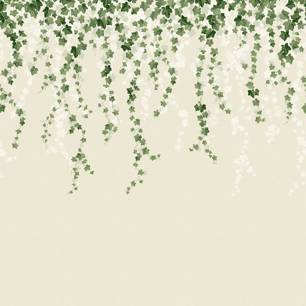 Trailing Ivy Green Wall Mural by Advantage Designer Westbury Forest 19.6-in by 9.8-ft long roll Washable and strippable Unpasted 0 - Swanky Fabrics -