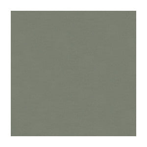 Luster Satin Nickel by Kravet Contract Designer Fabric