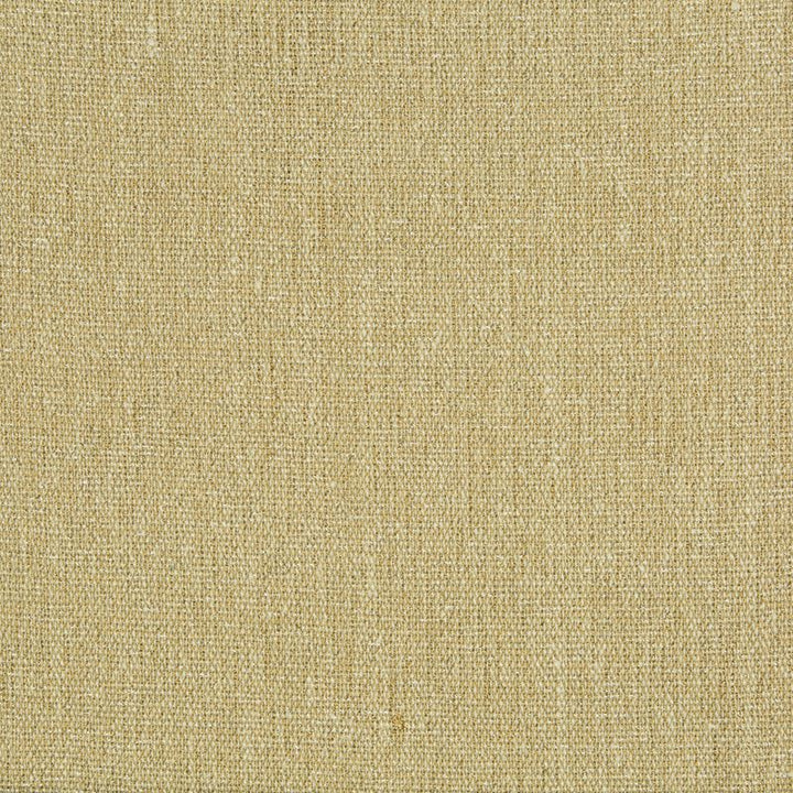 4206.106 by Kravet Design Designer Fabric - Viscose 76%, Silk 24% India - H" -, V: - 52 inches  - Swanky Fabrics -  Kravet Design