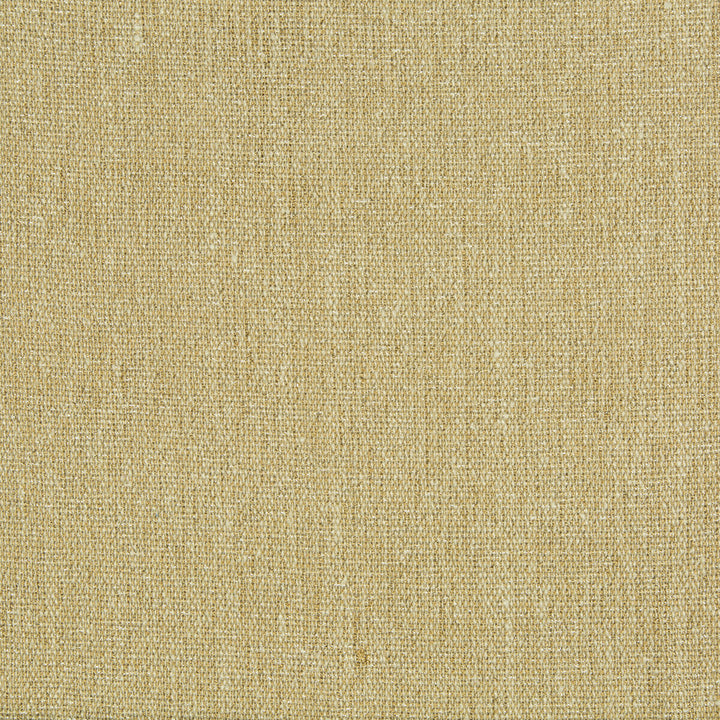 4206-106 by Kravet Design Designer Fabric VISCOSE - 76%;SILK - 24% India Horizontal: and Vertical: 52 - Swanky Fabrics -