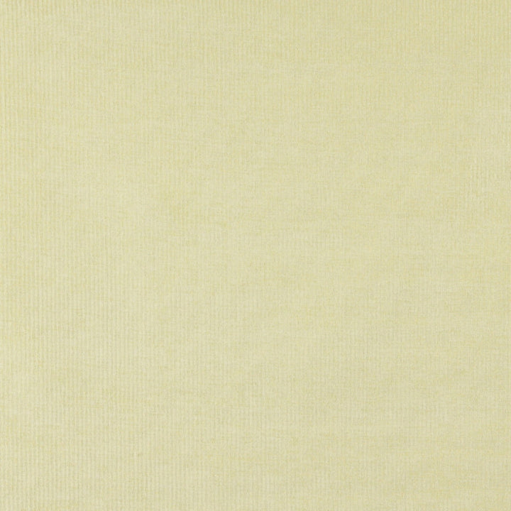 4206 Maize Stripe by Charlotte Designer Fabric Elegance of Woven Velvet III 100% Woven Polyester Asia Exceeds 200,000 Wyzenbeek Rubs (Heavy Duty) No Repeat 54 Inches - Swanky Fabrics -