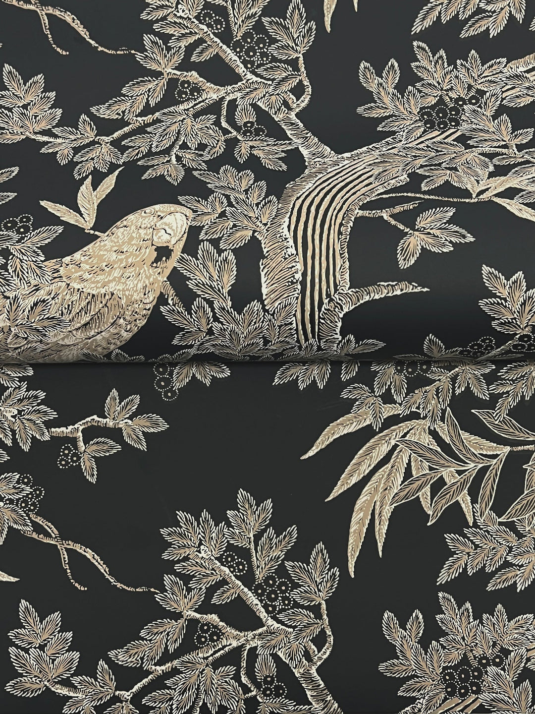 Regal Ridge Black Trailing Tree Wallpaper by Ronald Redding Designer