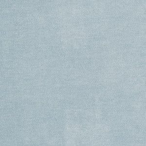 4224 Sky by Charlotte Designer Fabric