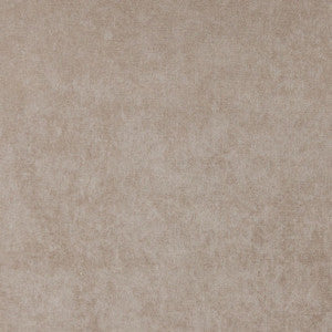 4225 Sand by Charlotte Designer Fabric