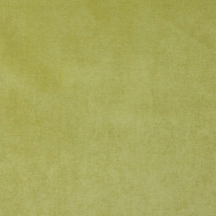 4229 Spring by Charlotte Designer Fabric Elegance of Woven Velvet III 100% Woven Polyester Asia Exceeds 200,000 Wyzenbeek Rubs (Heavy Duty) No Repeat 54 Inches - Swanky Fabrics -