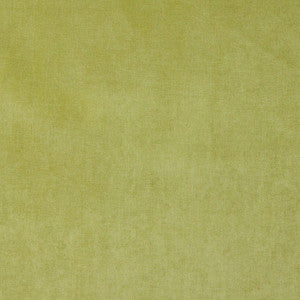 4229 Spring by Charlotte Designer Fabric