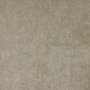 4232 Sage by Charlotte Designer Fabric