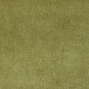 4234 Fern by Charlotte Designer Fabric
