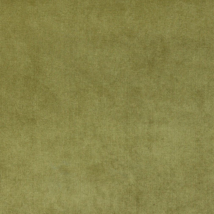4234 Fern by Charlotte Designer Fabric Elegance of Woven Velvet III 100% Woven Polyester Asia Exceeds 200,000 Wyzenbeek Rubs (Heavy Duty) No Repeat 54 Inches - Swanky Fabrics -