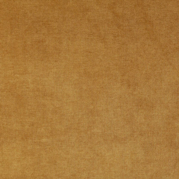 4236 Gold by Charlotte Designer Fabric Elegance of Woven Velvet III 100% Woven Polyester Asia Exceeds 200,000 Wyzenbeek Rubs (Heavy Duty) </p><p>Repeat: 54 Inches - Swanky Fabrics -