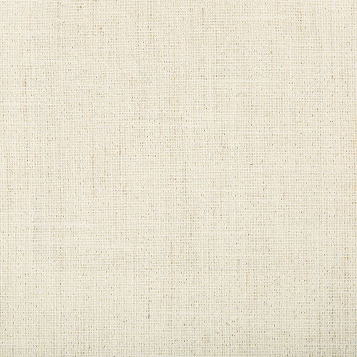 4273.1 by Kravet Basics Designer Fabric Gis Polyester 62%, Cotton 31%, Linen 7% France see sample Horizontal: see sample and Vertical: see sample 110 inches - Swanky Fabrics -