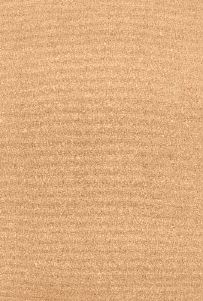 Gainsborough Velvet Chamois 42784 by Schumacher Designer Fabric Gainsborough-Velvets 100% Cotton Wyzenbeek 40,000 Horizontal: - and Vertical: - 55 - Swanky Fabrics -