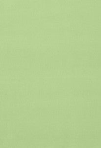 Gainsborough Velvet Mint 42855 by Schumacher Designer Fabric