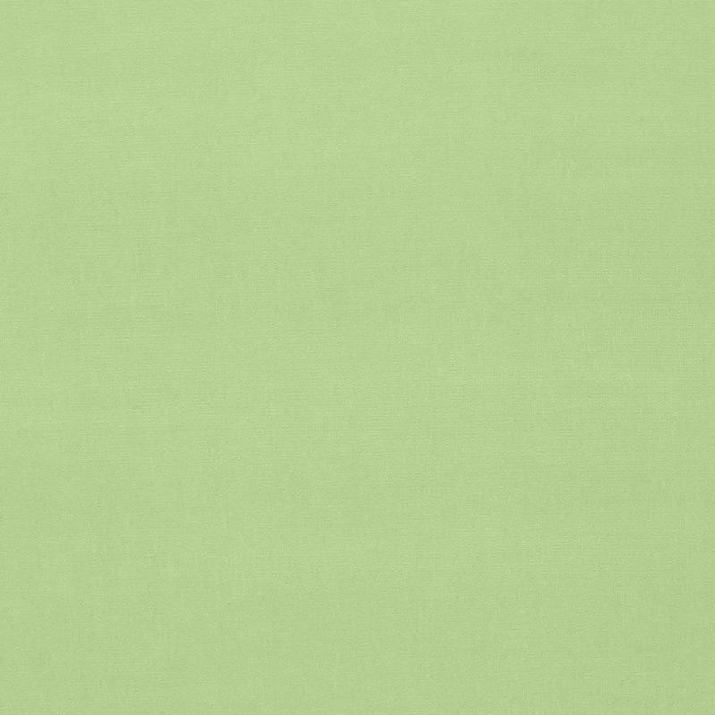 Gainsborough Velvet Mint 42855 by Schumacher Fabric Schumacher Fabric Gainsborough Velvet Mint 42855Fabric COTTON 100% NETHERLANDS </p><p>Repeat: H: , V: 55 - Fabric Carolina -