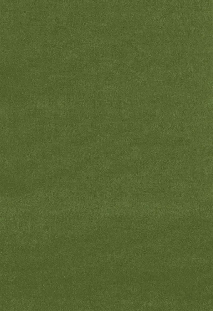 Gainsborough Velvet Fern 42869 by Schumacher Designer Fabric Gainsborough-Velvets 100% Cotton Wyzenbeek 40,000 Horizontal: - and Vertical: - 55 - Swanky Fabrics -
