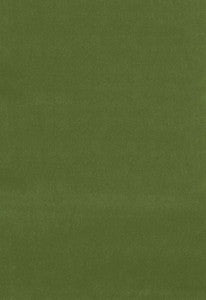 Gainsborough Velvet Fern 42869 by Schumacher Designer Fabric