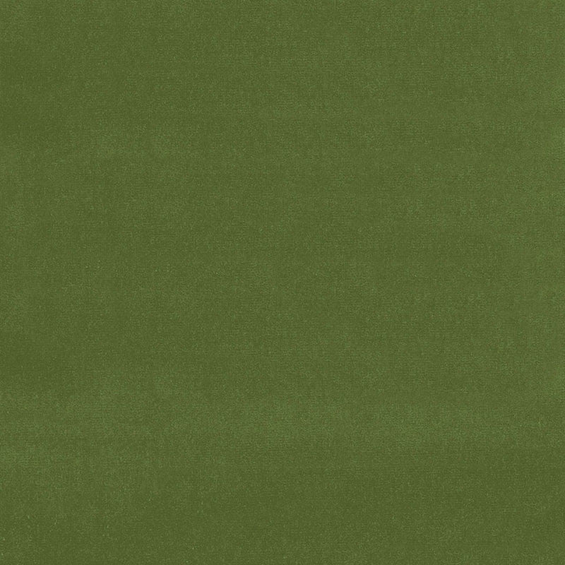 Gainsborough Velvet Fern 42869 by Schumacher Fabric Schumacher Fabric Gainsborough Velvet Fern 42869Fabric COTTON 100% NETHERLANDS </p><p>Repeat: H: , V: 55 - Fabric Carolina -