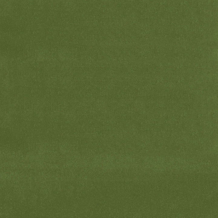Gainsborough Velvet Fern 42869 by Schumacher Fabric Schumacher Fabric Gainsborough Velvet Fern 42869Fabric COTTON 100% NETHERLANDS </p><p>Repeat: H: , V: 55 - Fabric Carolina -