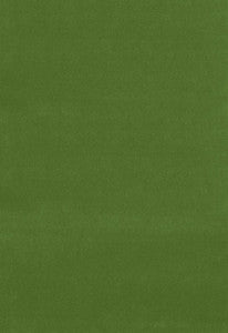 Gainsborough Velvet English Green 42870 by Schumacher Designer Fabric