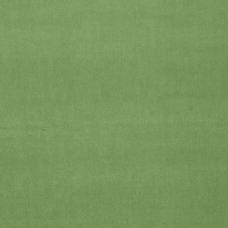 Gainsborough Velvet Willow 42873 by Schumacher Fabric Schumacher Fabric Gainsborough Velvet Willow 42873Fabric COTTON 100% NETHERLANDS </p><p>Repeat: H: , V: 55 - Fabric Carolina -