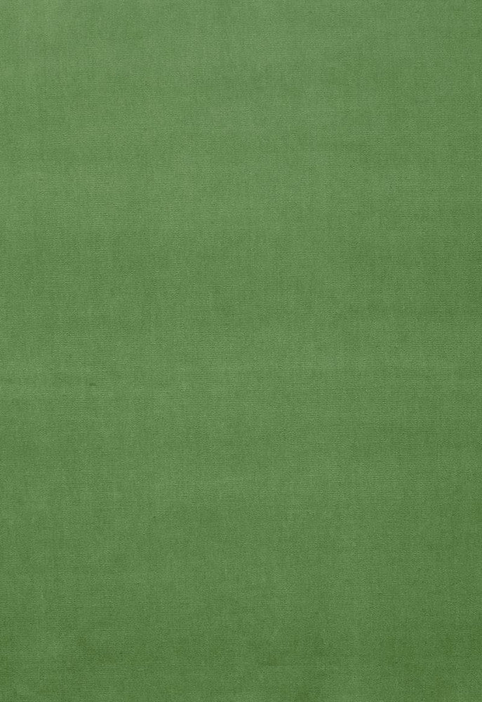 Gainsborough Velvet Parrot 42876 by Schumacher Designer Fabric Gainsborough-Velvets 100% Cotton Wyzenbeek 40,000 Horizontal: - and Vertical: - 55 - Swanky Fabrics -