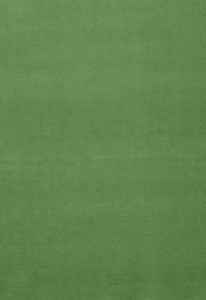 Gainsborough Velvet Parrot 42876 by Schumacher Designer Fabric
