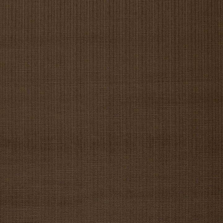 Antique Strie Velvet Mocha 43043 by Schumacher Designer Fabric CHROMA See Sample UNITED STATES OF AMERICA HEAVY DUTY - EXCEEDS 30,0 </p><p>Repeat: Horizontal: - and Vertical: - 54" WIDE (137CM) - Swanky Fabrics -