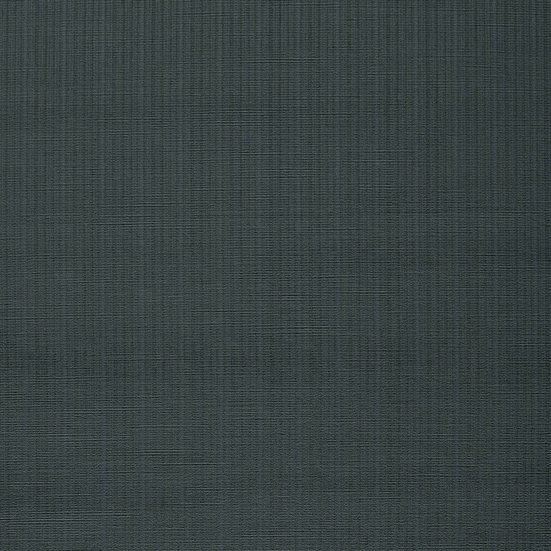 Antique Strie Velvet Charcoal 43057 by Schumacher Designer Fabric CHROMA COTTON 65% VISCOSE RAYON 35% UNITED STATES OF AMERICA WYZENBEEK 150,000 </p><p>Repeat: Horizontal: and Vertical: 54 - Swanky Fabrics -