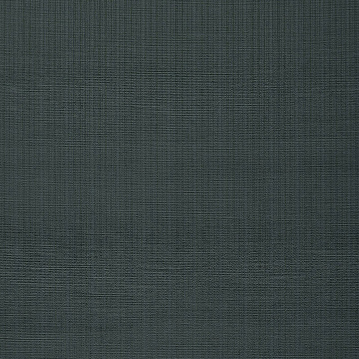 Antique Strie Velvet Charcoal 43057 by Schumacher Designer Fabric CHROMA COTTON 65% VISCOSE RAYON 35% UNITED STATES OF AMERICA WYZENBEEK 150,000 </p><p>Repeat: Horizontal: and Vertical: 54 - Swanky Fabrics -