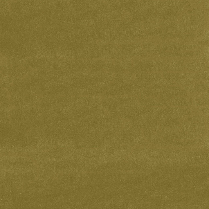 Gainsborough Velvet Sap 43259 by Schumacher Fabric Schumacher Fabric Gainsborough Velvet Sap 43259Fabric COTTON 100% NETHERLANDS </p><p>Repeat: H: , V: 55 - Fabric Carolina -
