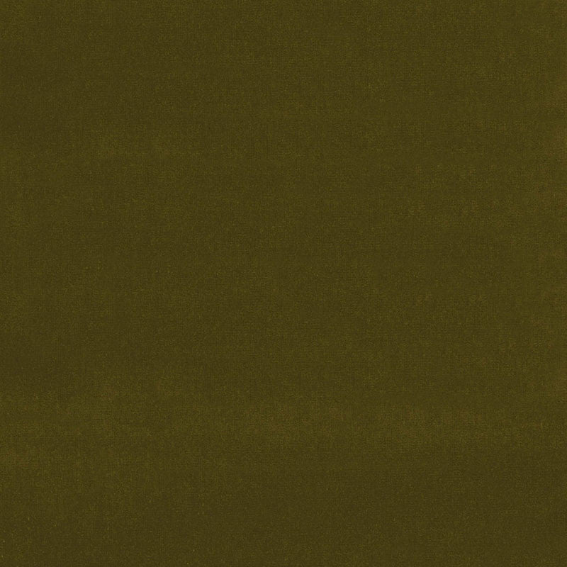 Gainsborough Velvet Mistletoe 43260 by Schumacher Designer Fabric GAINSBOROUGH VELVETS COTTON 100% NETHERLANDS WYZENBEEK 40,000 </p><p>Repeat: Horizontal: and Vertical: 55 - Swanky Fabrics -