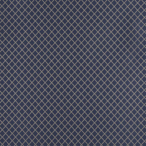 4326 Wedgewood Diamond by Charlotte Designer Fabric