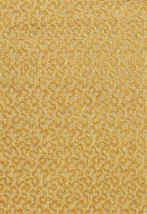 Vermicelli Velvet Naples 43276 by Schumacher Designer Fabric