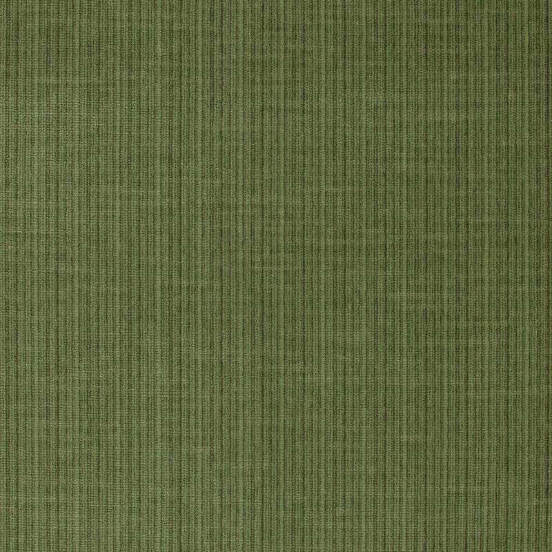 Antique Strie Velvet Grass 43282 by Schumacher Designer Fabric PERFECT BASICS COTTON 65% VISCOSE RAYON 35% UNITED STATES OF AMERICA WYZENBEEK 100,000 </p><p>Repeat: Horizontal: and Vertical: 54 - Swanky Fabrics -
