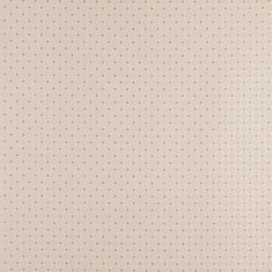 4329 Ecru Diamond by Charlotte Designer Fabric