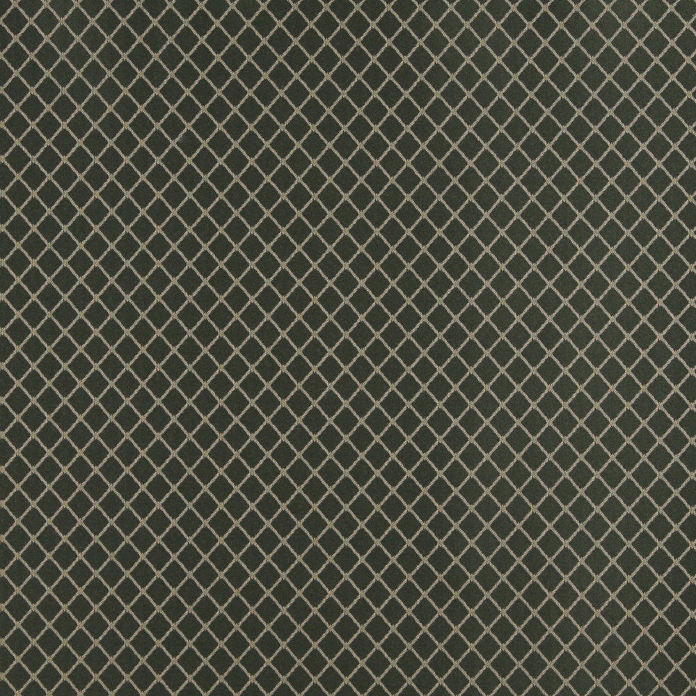 4335 Juniper Diamond by Charlotte Designer Fabric Uptown Jacquards V 55% Cotton, 45% Polyester Asia Exceeds 96,000 Wyzenbeek Rubs (Heavy Duty) </p><p>Repeat: Horizontal: 1" x Vertical: 1" 54 Inches - Swanky Fabrics -
