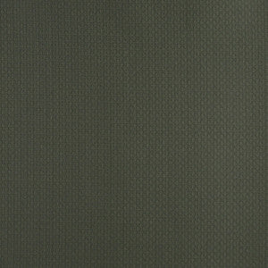 4340 Alpine by Charlotte Designer Fabric