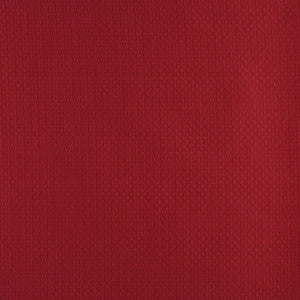 4341 Ruby by Charlotte Designer Fabric