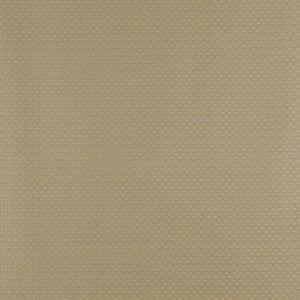 4343 Chambray by Charlotte Designer Fabric