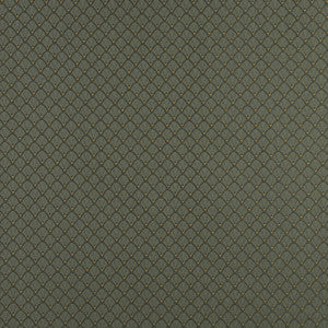 4353 Alpine Shell by Charlotte Designer Fabric