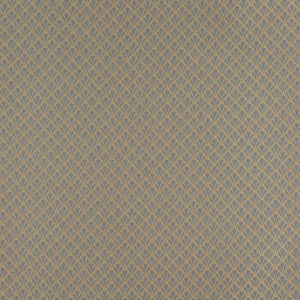 4356 Chambray Shell by Charlotte Designer Fabric