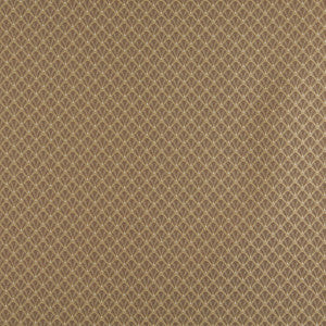 4359 Harvest Shell by Charlotte Designer Fabric